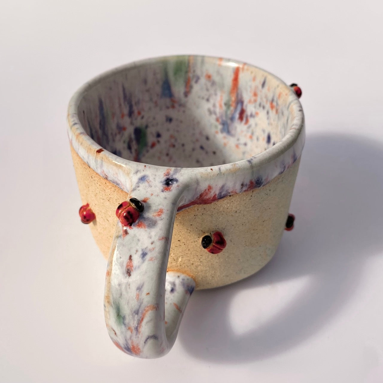 hrneček - beruška menší