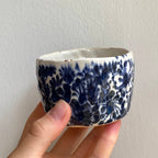 kalíšek - cibuláček 2